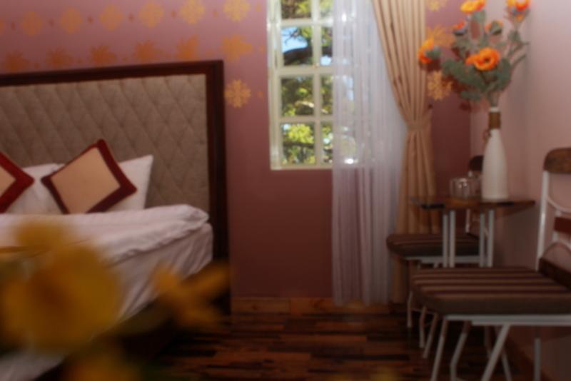 Thong Do Da Lat Hotel Đà Lạt Ngoại thất bức ảnh